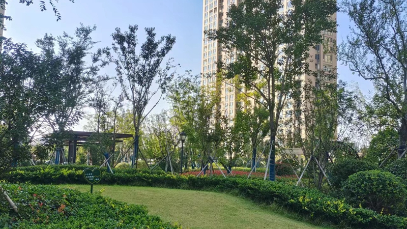 济宁金色兰庭·香堤小区获评2022年度济宁市“园林式居住区”称号
