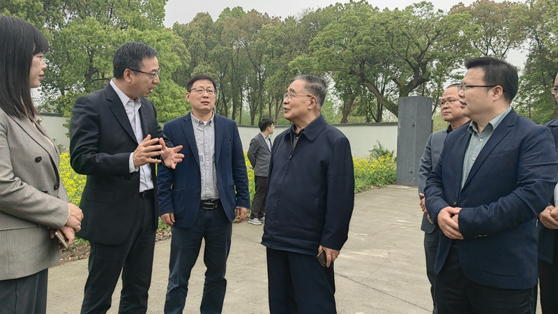 国医大师张伯礼院士到访浙农杭白菊GAP生产示范基地