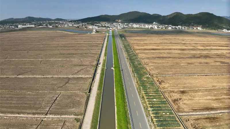 盐碱地蝶变丰产田！浙农科技岱山项目打造“未来生态农场”