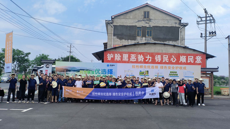 湖南金惠利举办二化螟防治现场观摩会 推广高效植保方案