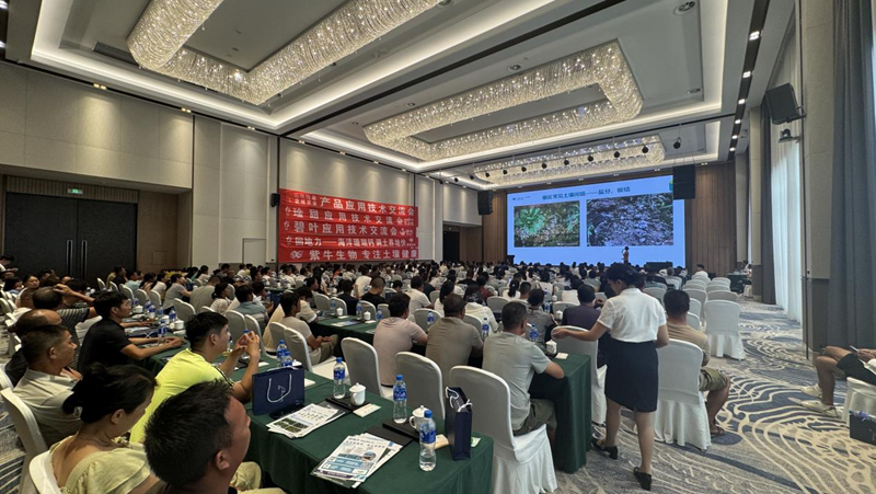 爱普科技在云南元谋推广土壤大健康技术 助力蔬菜产业提质增效