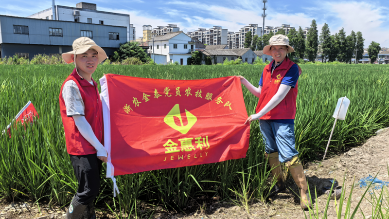 浙农金泰：党员田间服务站助力农业稳产增产