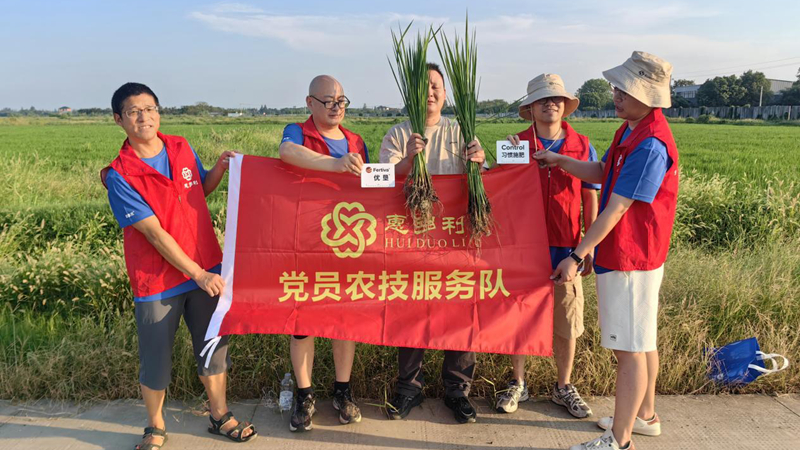 惠多利党员农技服务队在嘉兴开展水稻试验回访 以科技服务助力粮食丰收
