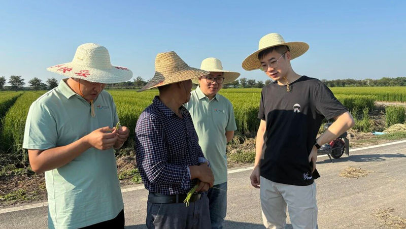 走基层 到一线丨情系嘉兴稻乡 见证现代农业发展蝶变