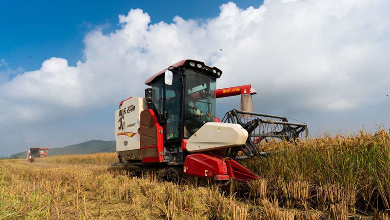 全力以赴夺取秋粮丰收，浙农这样做→