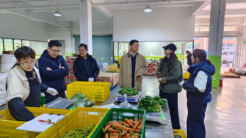 曹勇奇调研之豇种业农产品配送中心